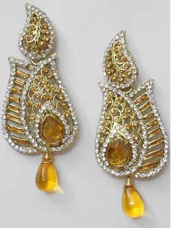 Fashion Earrings